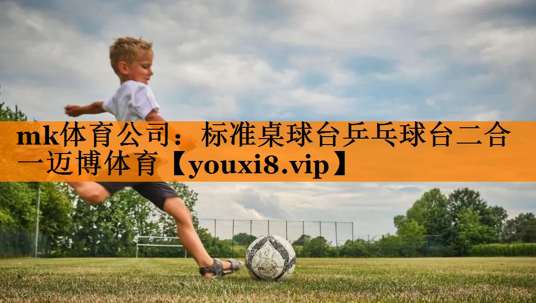 mk体育公司：标准桌球台乒乓球台二合一迈博体育