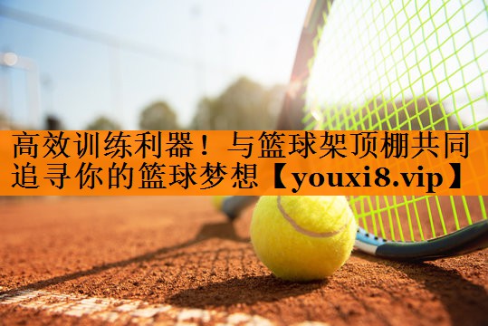 高效训练利器！与篮球架顶棚共同追寻你的篮球梦想